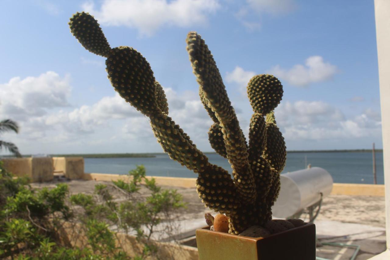 Kijani Hotel Lamu Kültér fotó